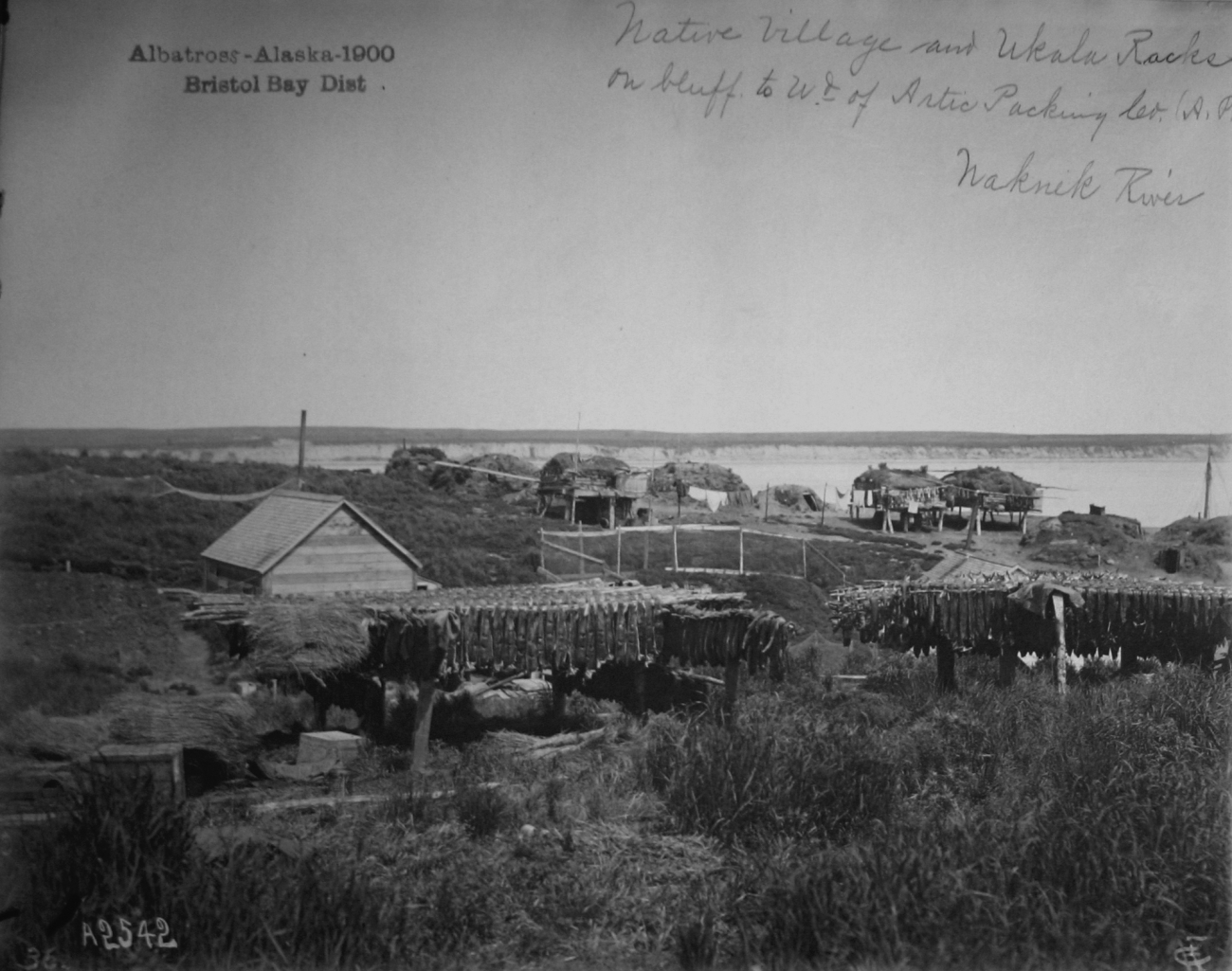Albatross, AK, 1900, Bristol Bay district, native village and Ukala Rockson bluff to west of Artic Packing Co