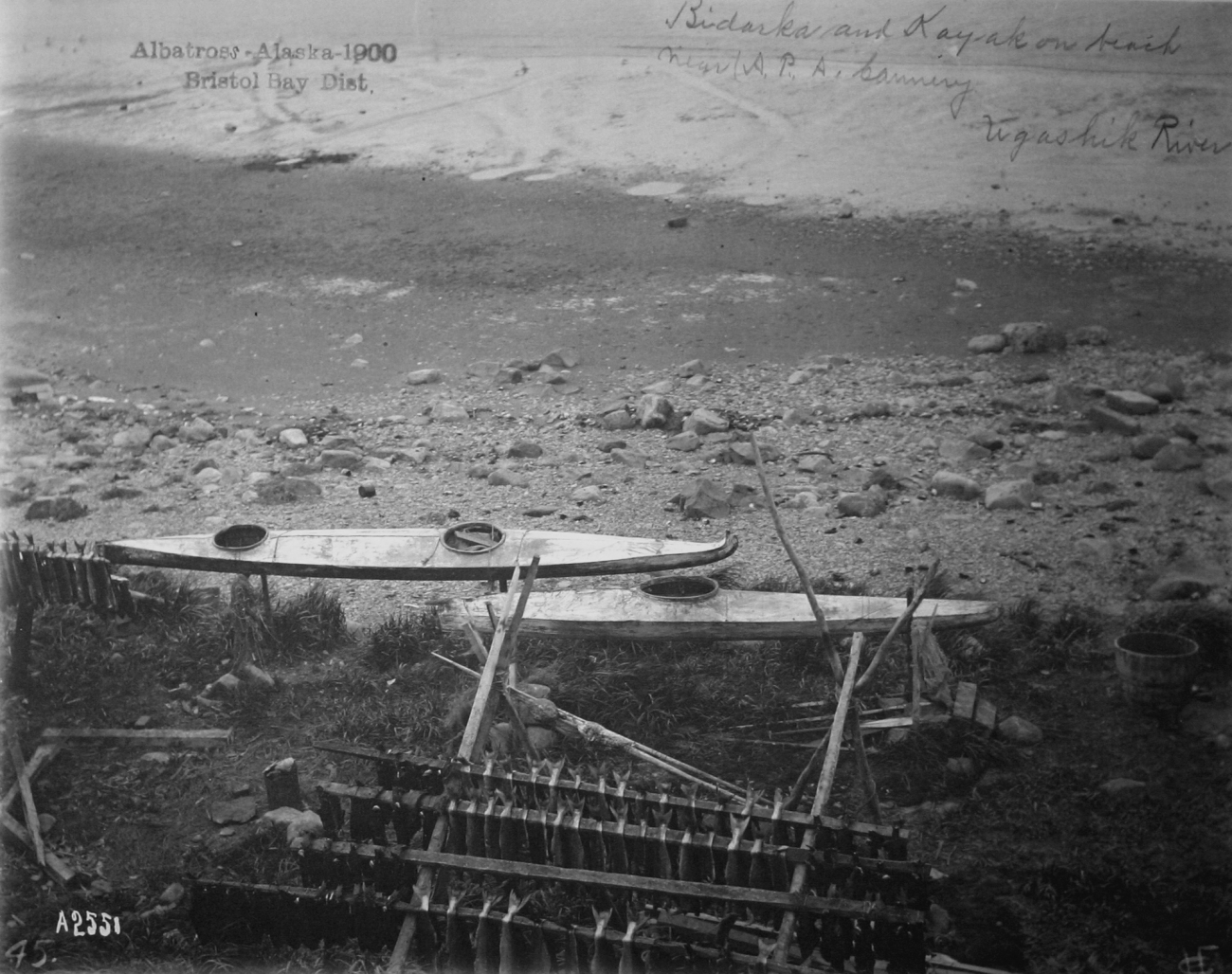 Albatross, AK, 1900, Bristol Bay district, bidarka and kayak on beachnear A