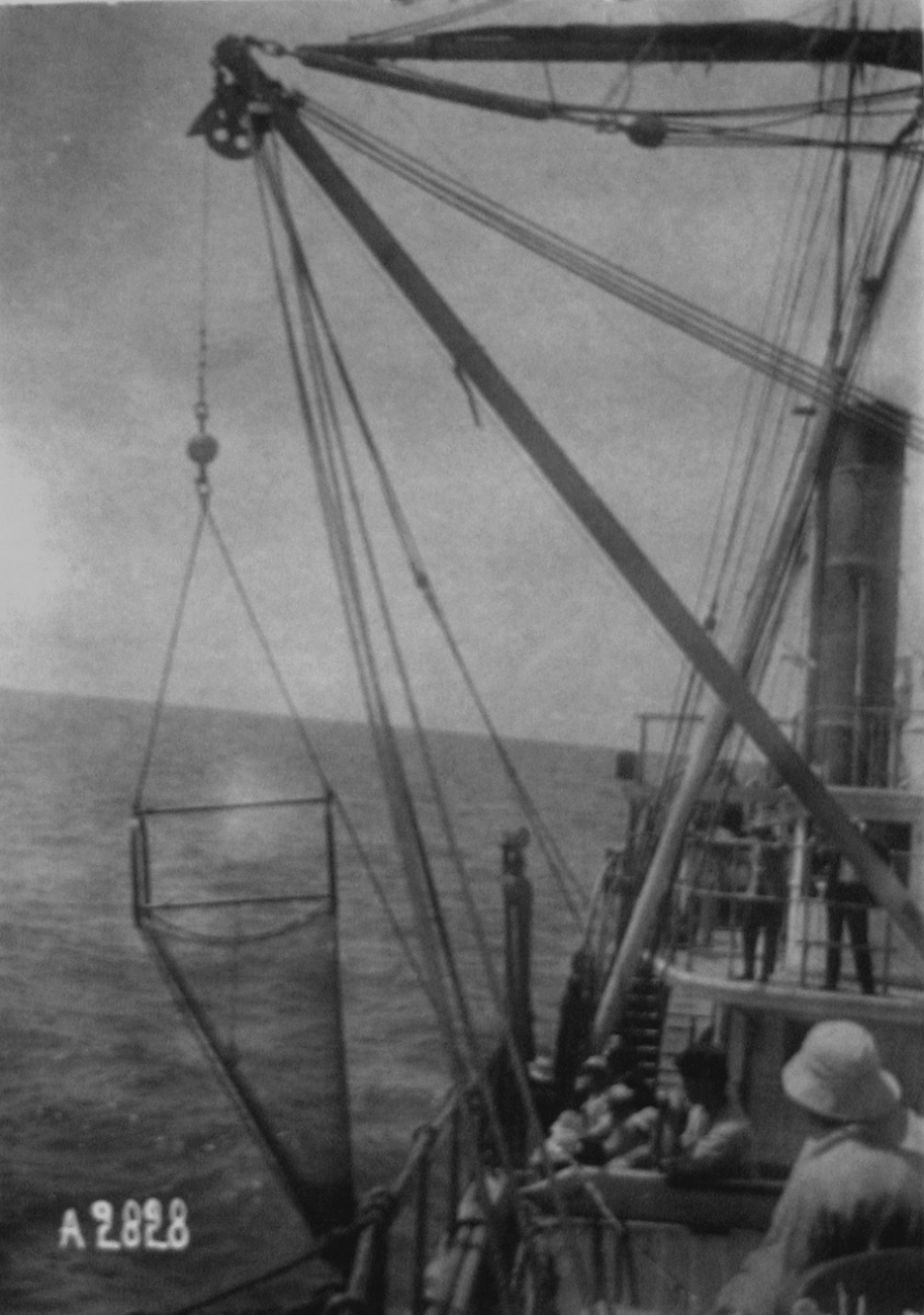 South Seas cruise 1899-1900