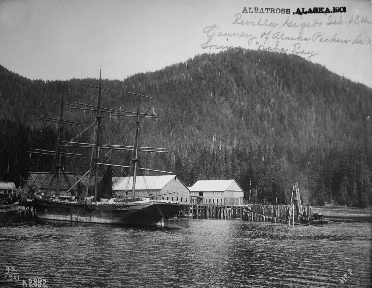 Albatross, AK, 1901, Revilla Gigedo Isd