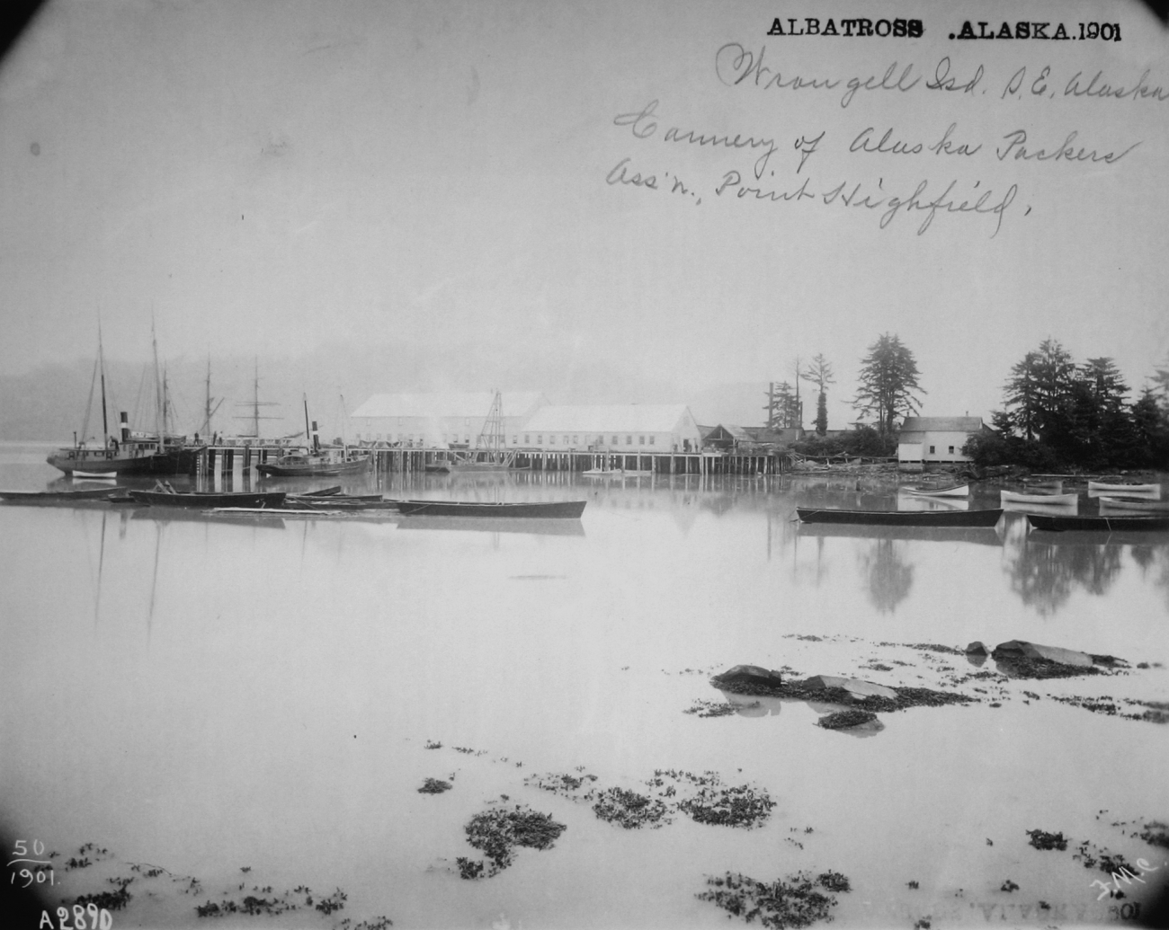 Albatross, AK, 1901, Wrangell Island, southeast Alaska, canneryof Alaska Packers Assn