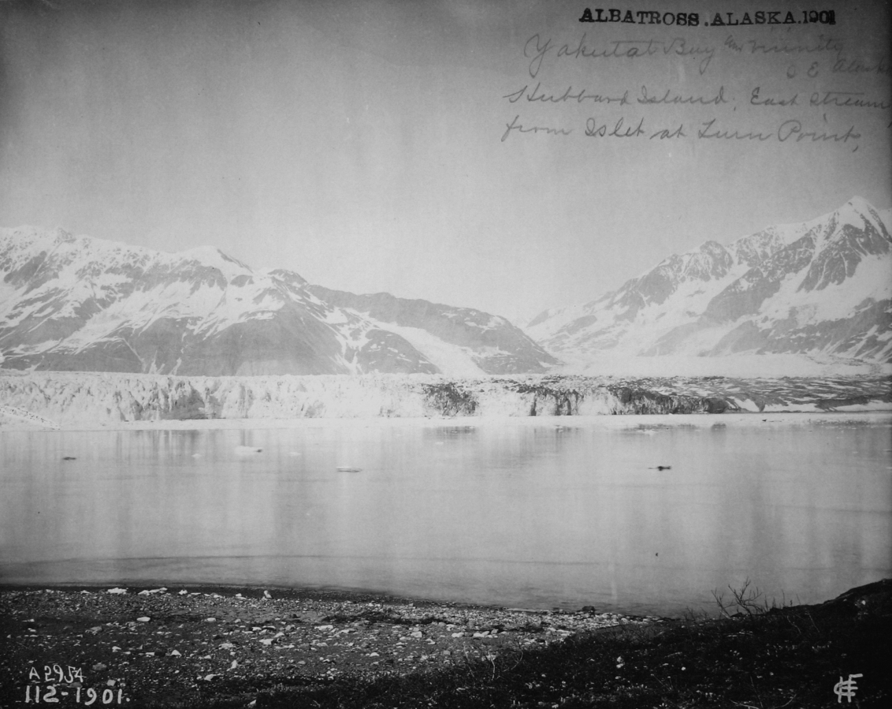 Albatross, AK, 1901, Yakutat Bay and vicinity, Hubbard Island,east stream from islet at Lurn Point