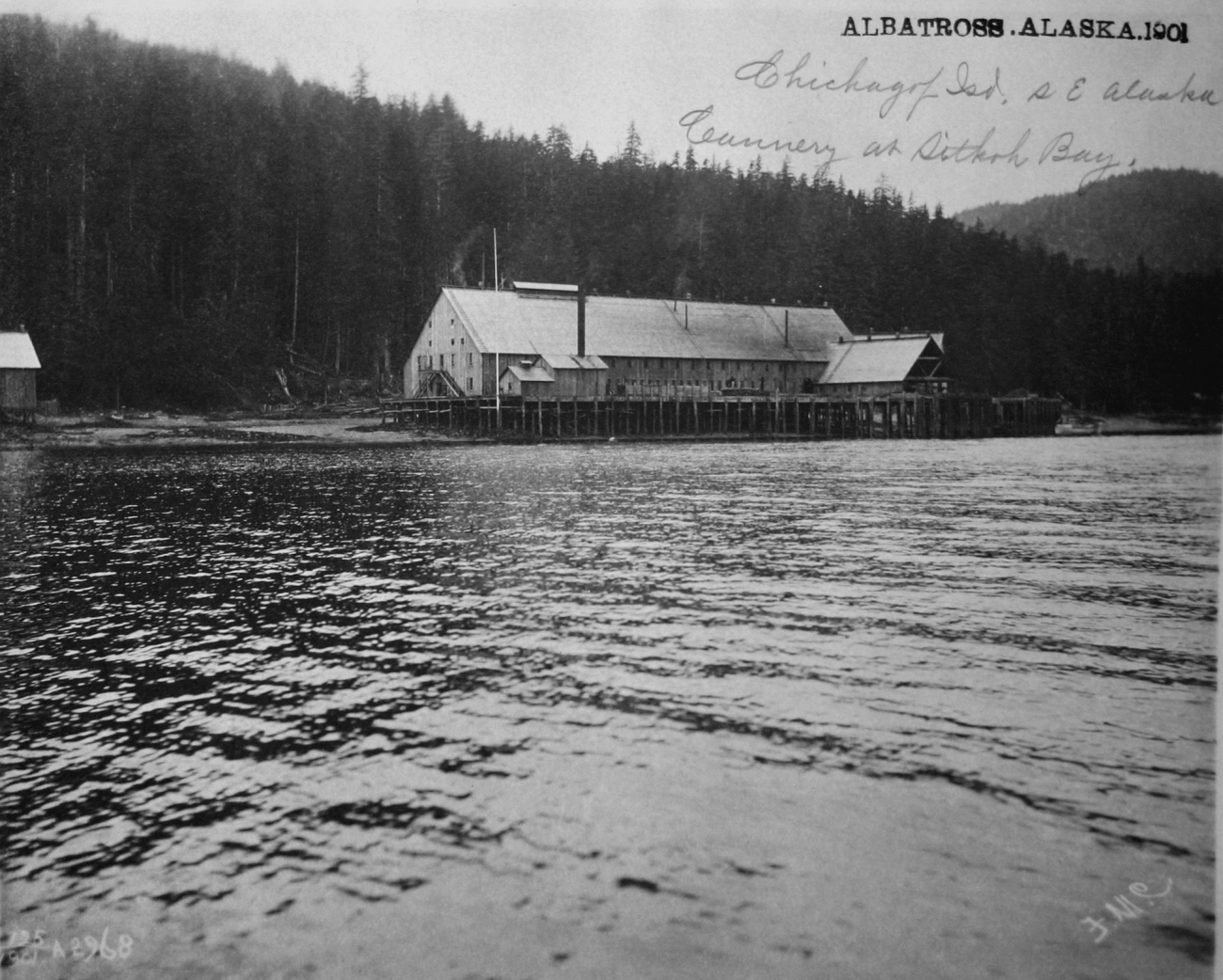 Albatross, AK, 1901, Chichagof Island, cannery at Sitka Bay