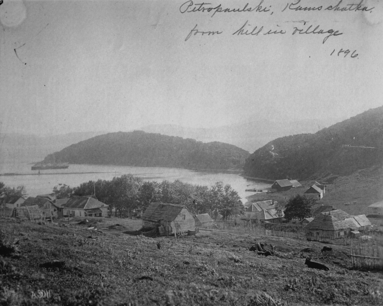 Petropaulski, Kamchatka, from hill in village, 1896
