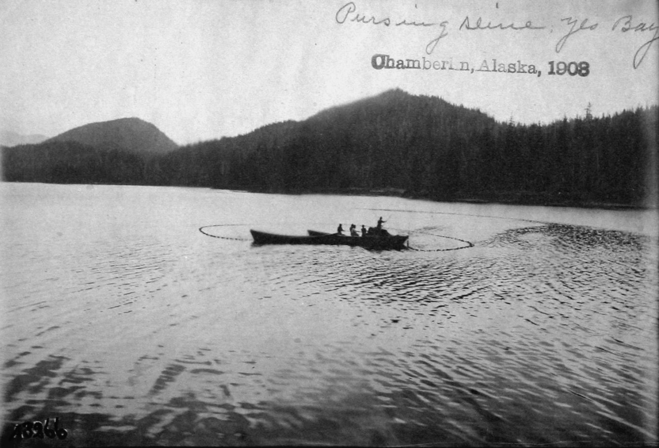 Chamberlin, AK, 1903, pursing seine
