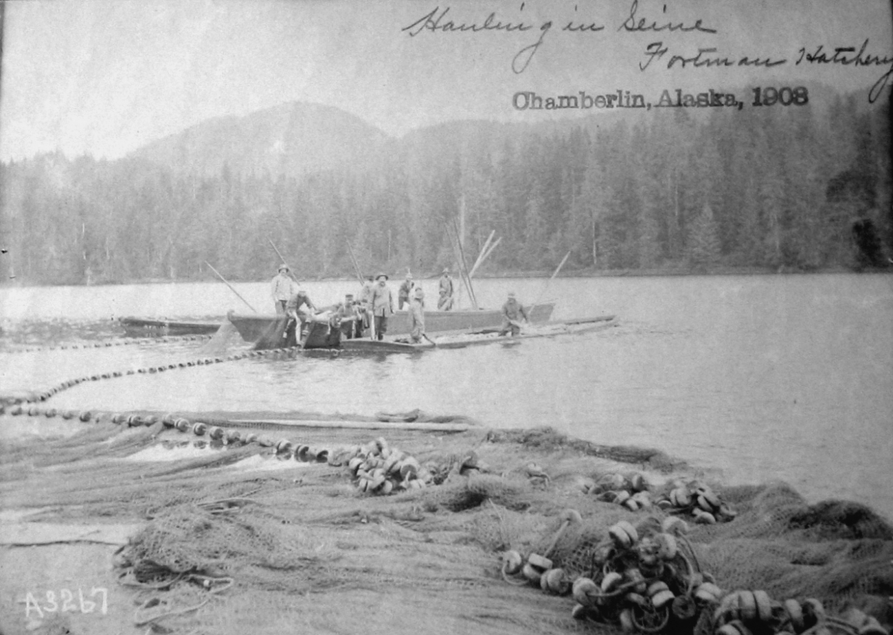 Chamberlin, AK, 1903, hauling in seine, Fortman Hatchery
