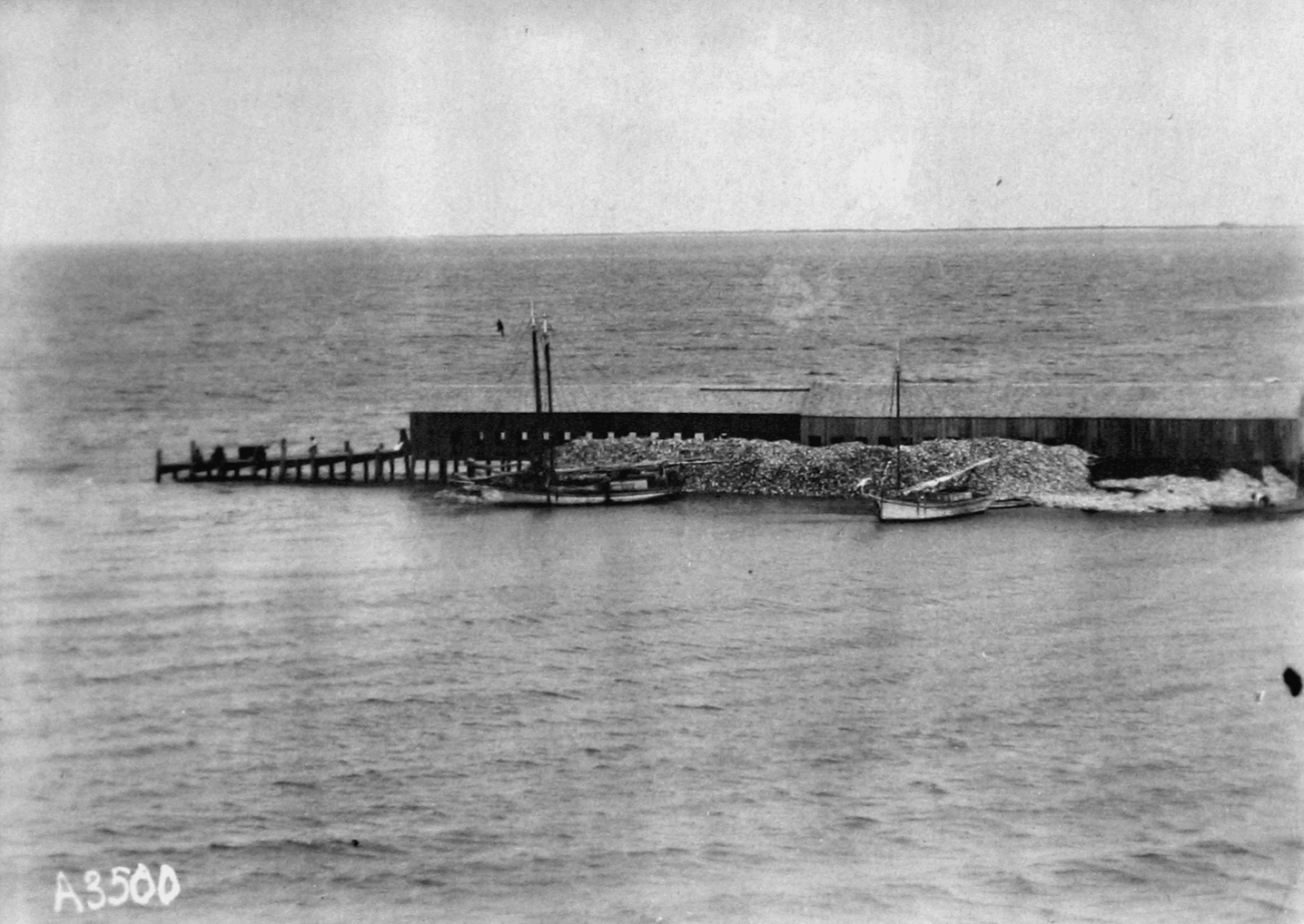 Matagorda Bay, TX, oyster shucking houses, panoramic view looking south