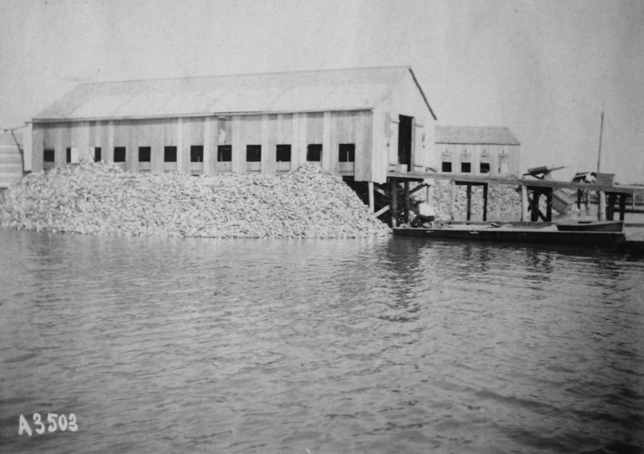 Matagorda Bay, TX, oyster house, 1905
