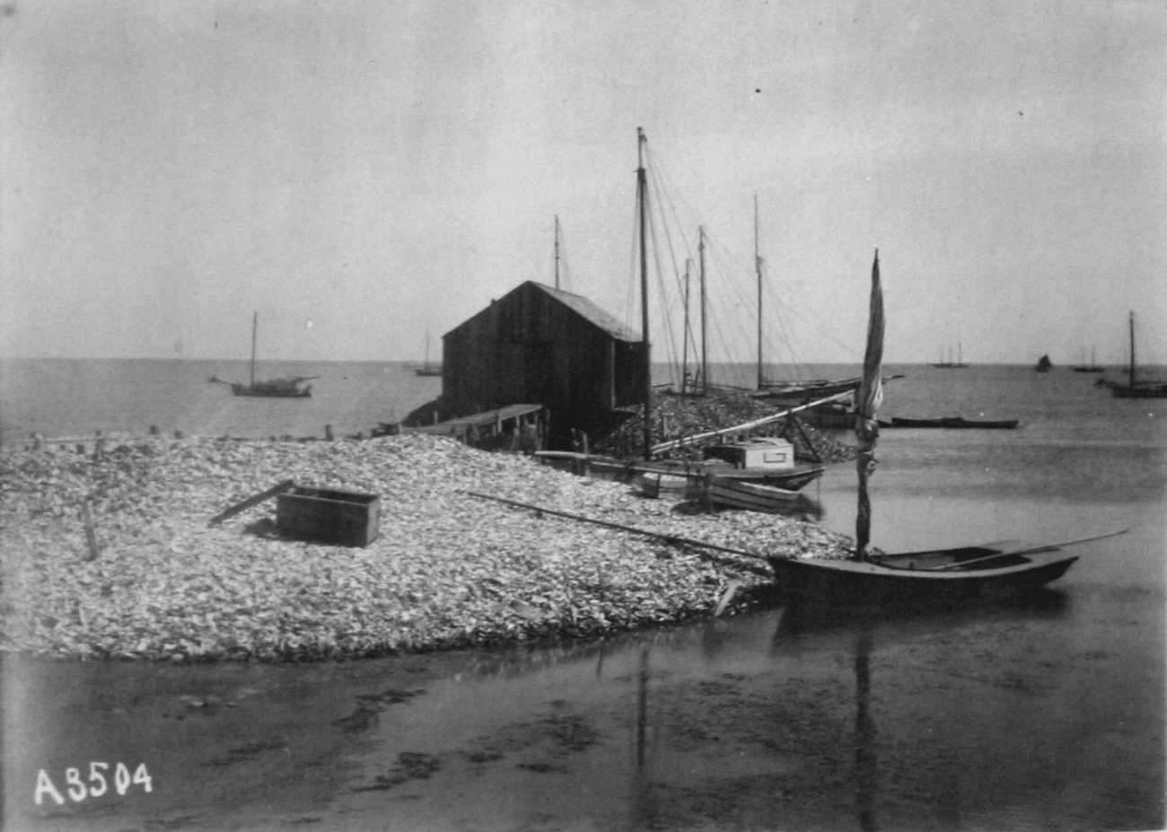 Matagorda Bay, TX, oyster house of P