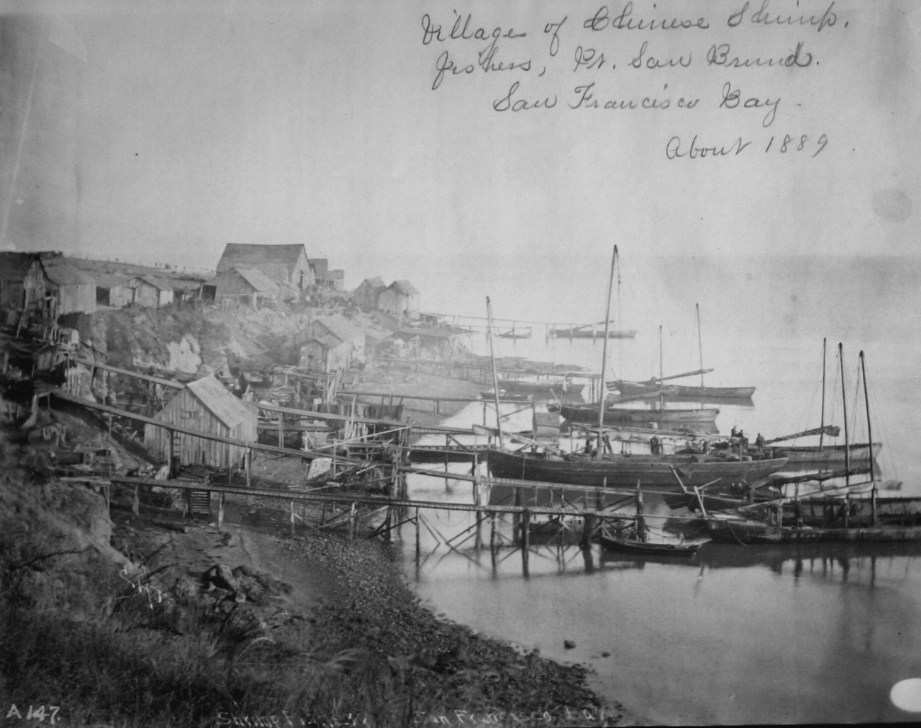 Village of Chinese shrimp fishers, Pt