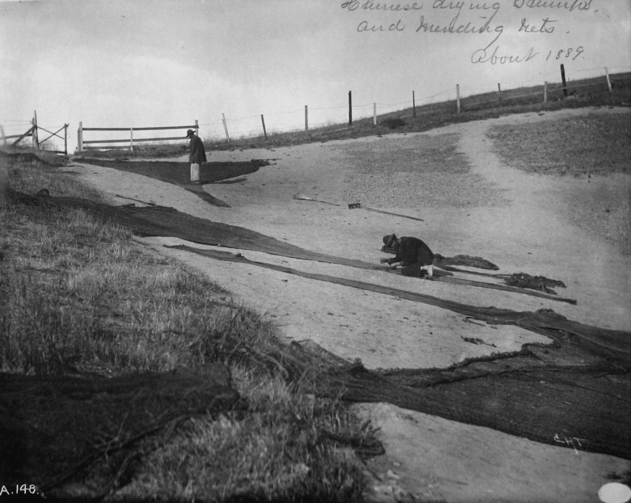 Chinese drying shrimp and mending nets, about 1889, CA