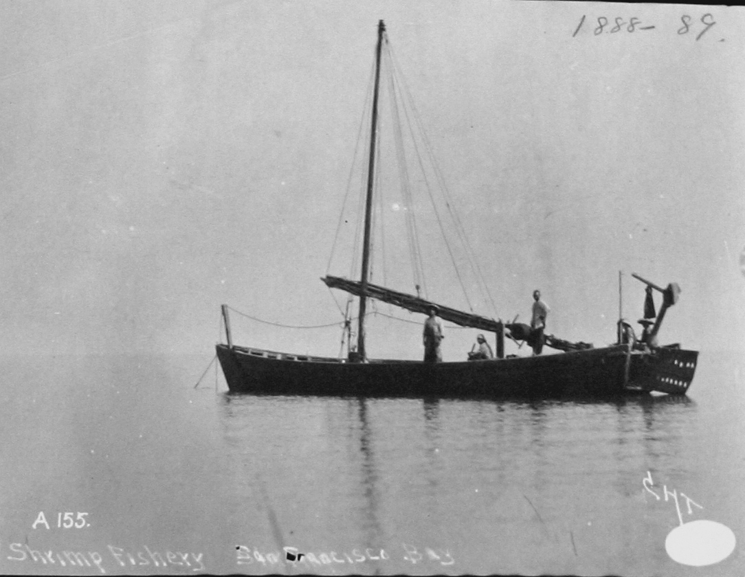 Shrimp fishery, San Francisco Bay, CA, 1888-89