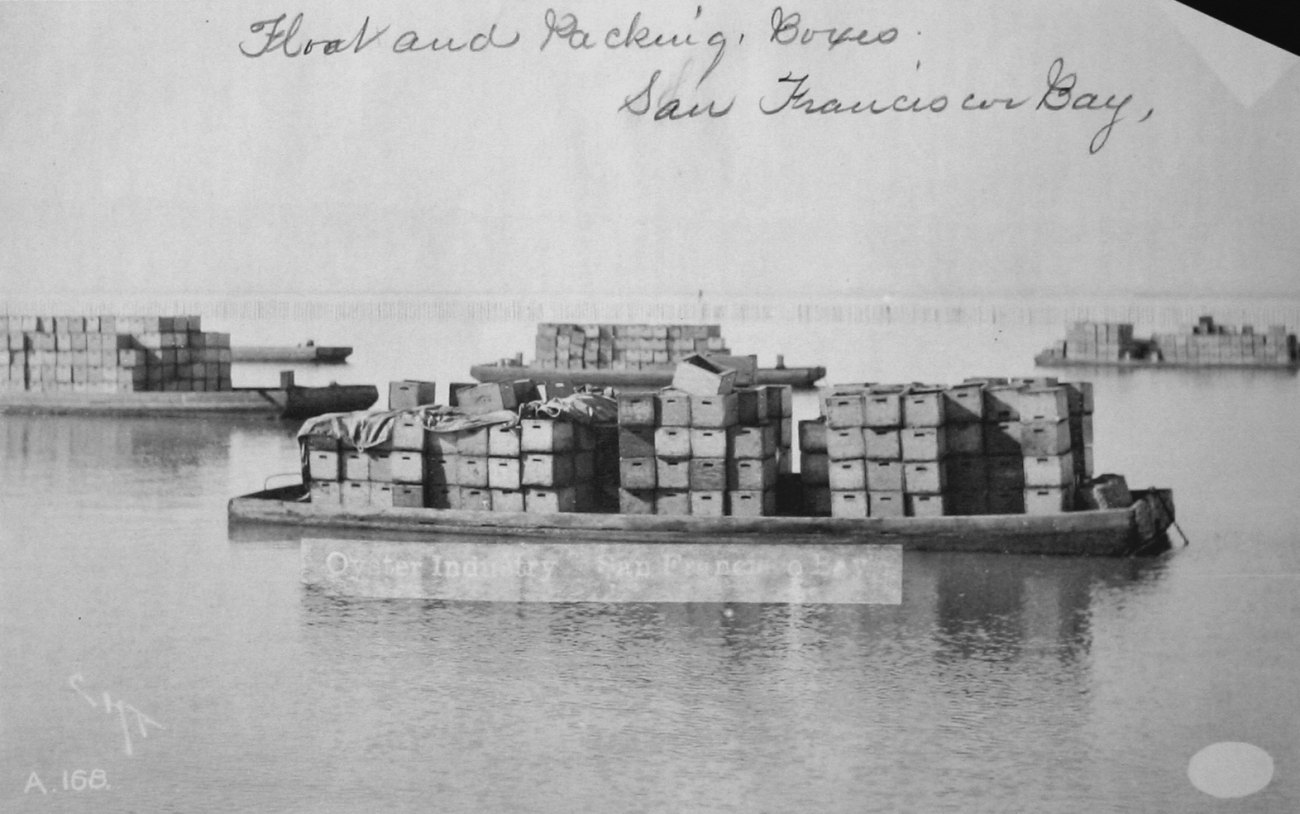 Oyster industry, San Francisco Bay, float and packing boxes, CA, 1889