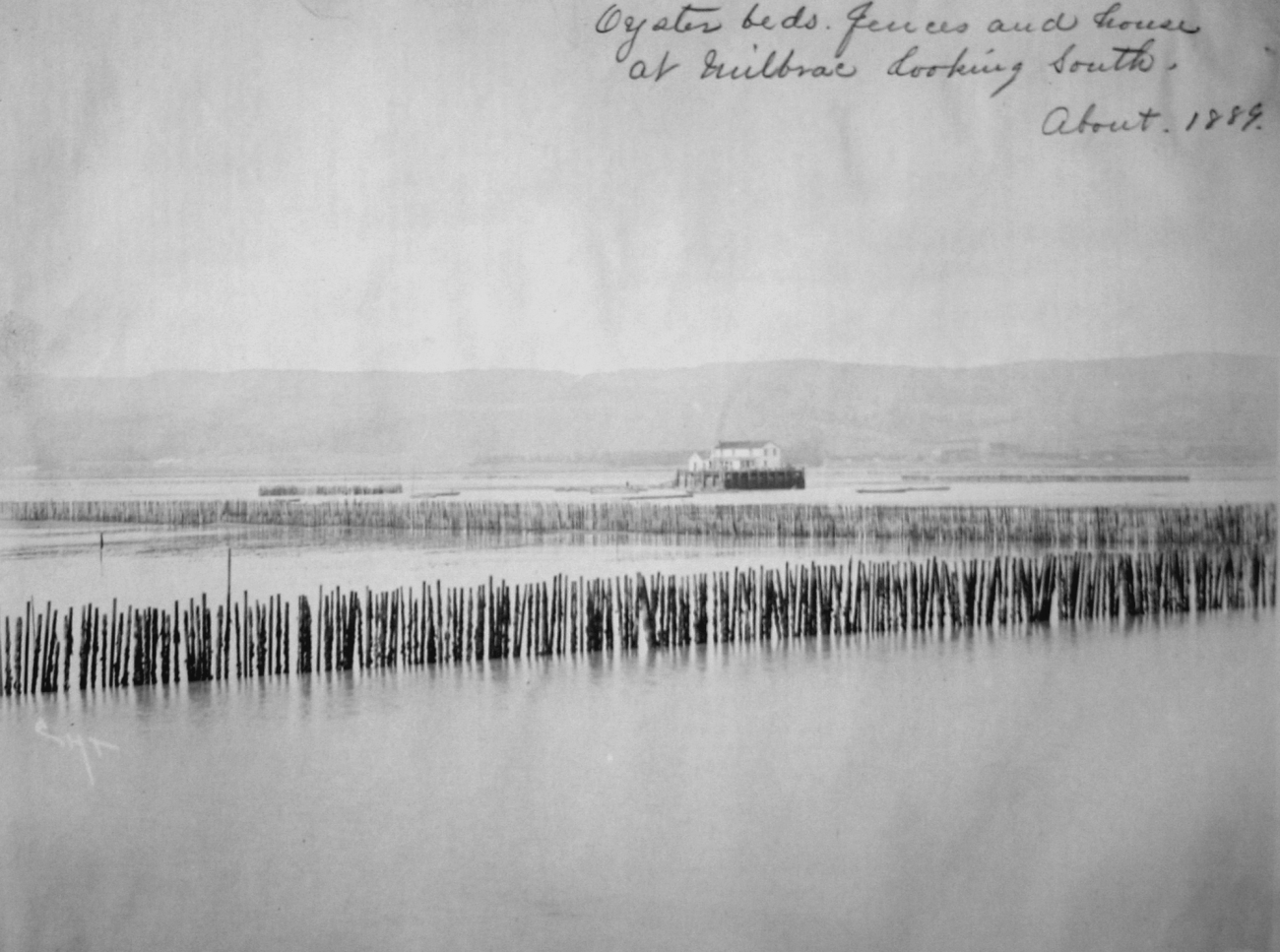 Oyster beds, fences and house at Milbrae, CA, looking south, about 1888