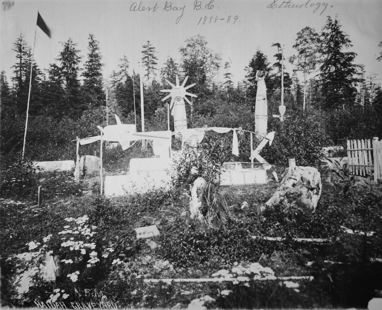 Alert Bay, BC, Haidah graveyard, ethnology, 1888
