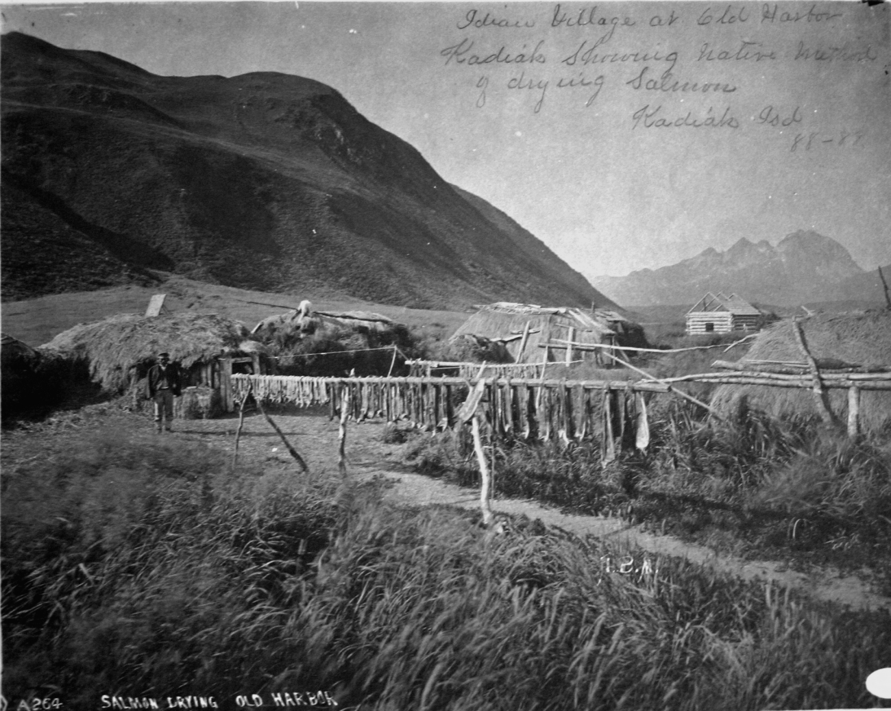 Indian village at Old Harbor, Kodiak showing native method ofdrying salmon, Kodiak Island, AK, 1888-89