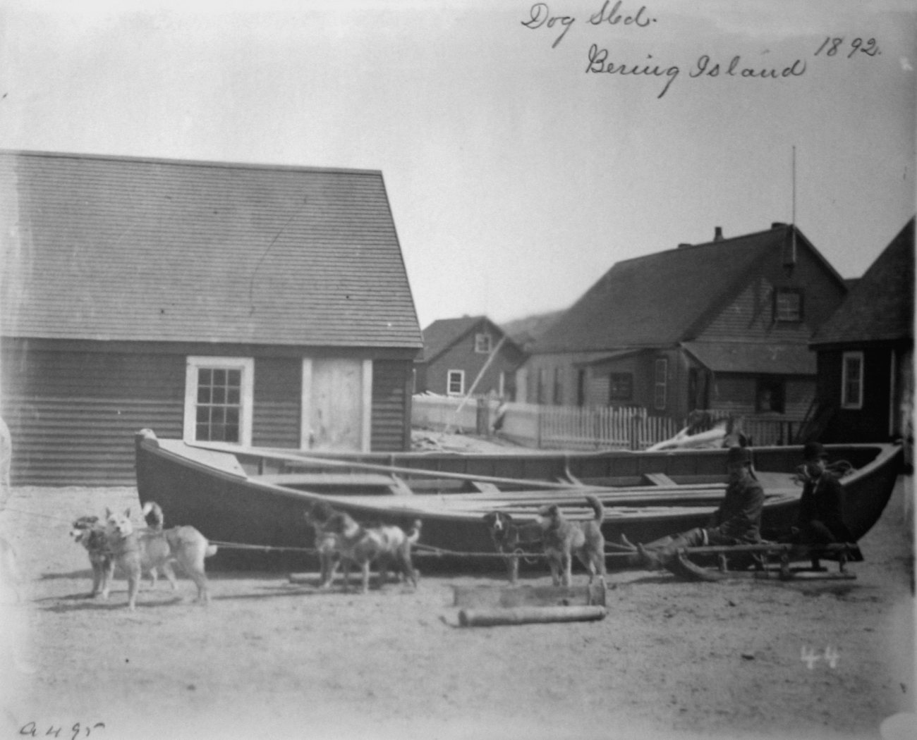 Dog sled, Bering Island, 1892
