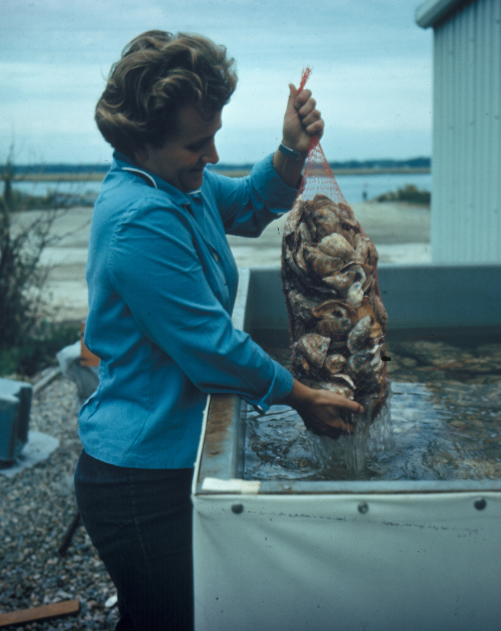 Aquaculture has the potential to meet a large part of the demand for certainfishery products