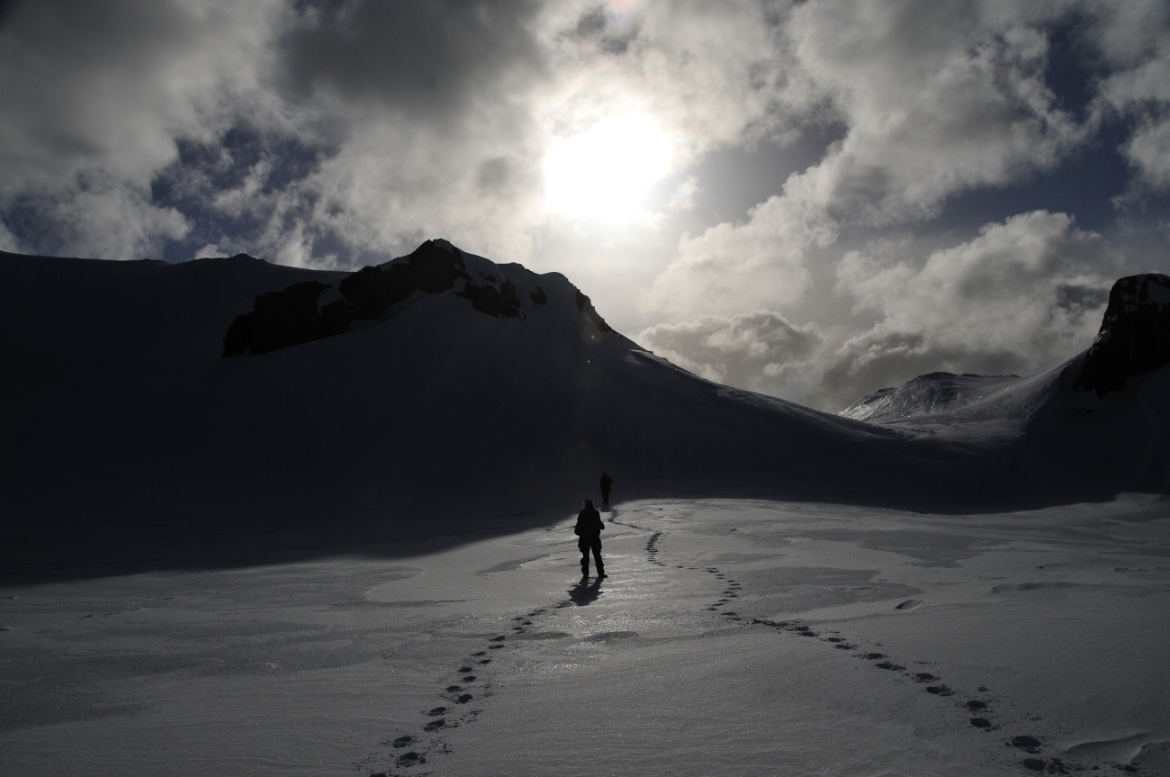 an AMLR scientist traverses the stark but beautiful Antarctic landscape toward a pinniped monitoring site