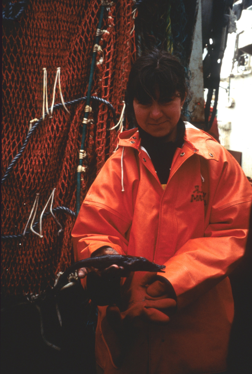 An Antarctic ichthyologist holds a fish sample