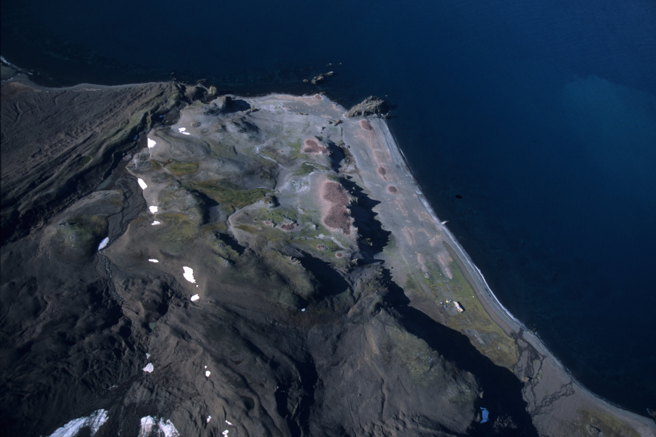 An aerial view of Copacabana field station and surrounding penguin colonies