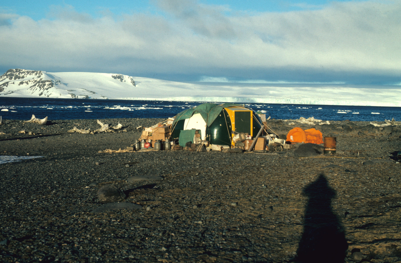 An early AMLR field camp at King George Island
