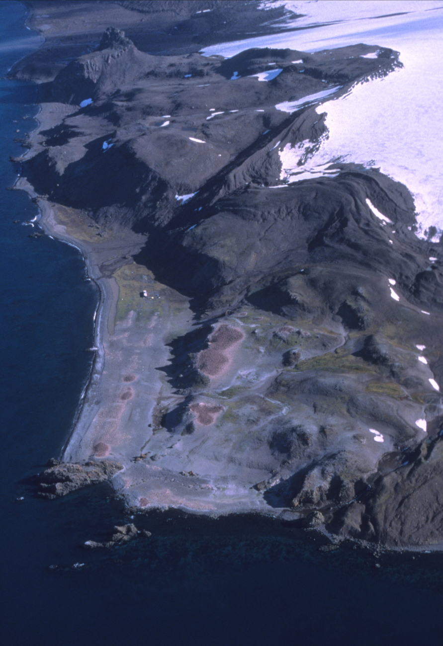 An aerial view of the Copacabana field station, withsurrounding penguin colonies, King George Island