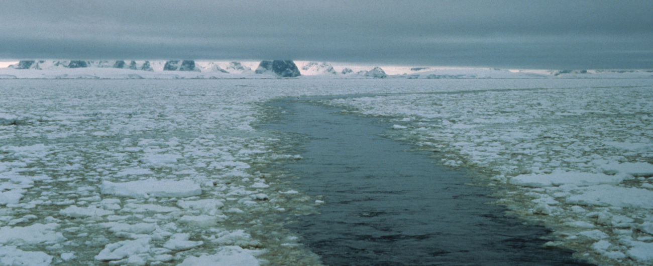A water trail through pancake ice, made by a research vessel