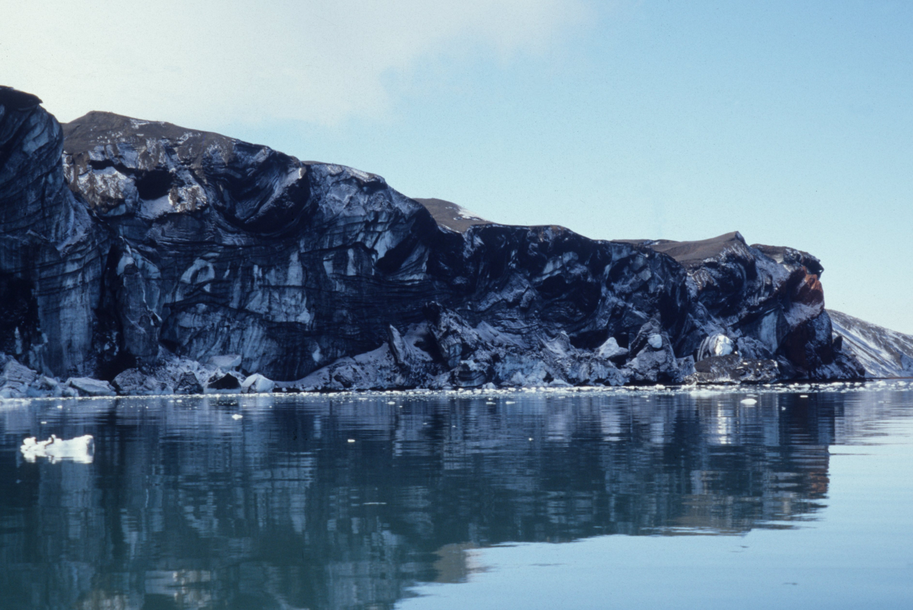 The volcanic origins of the South Shetland Islands are evidentin this cliffside formation