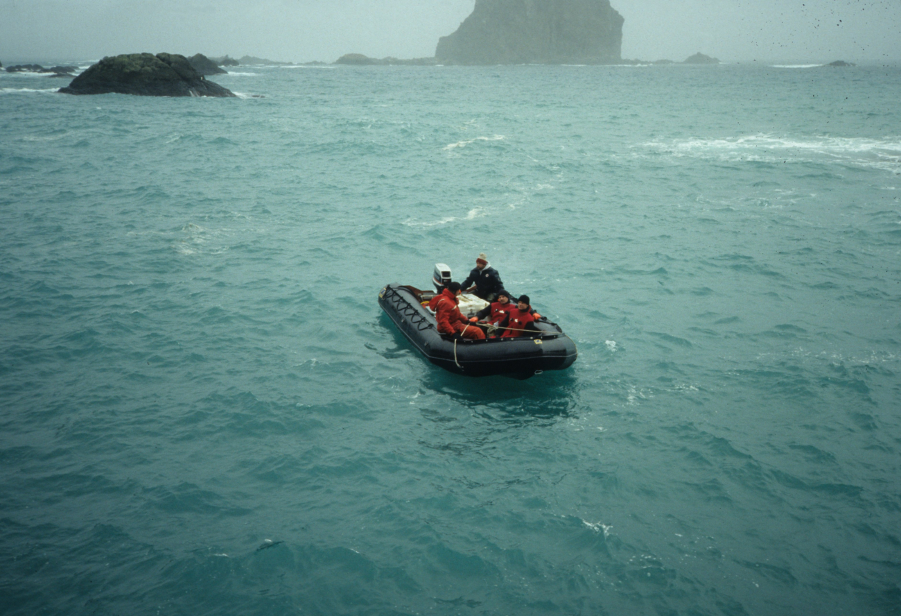 AMLR scientists in a Zodiac off the coast of Seal Island