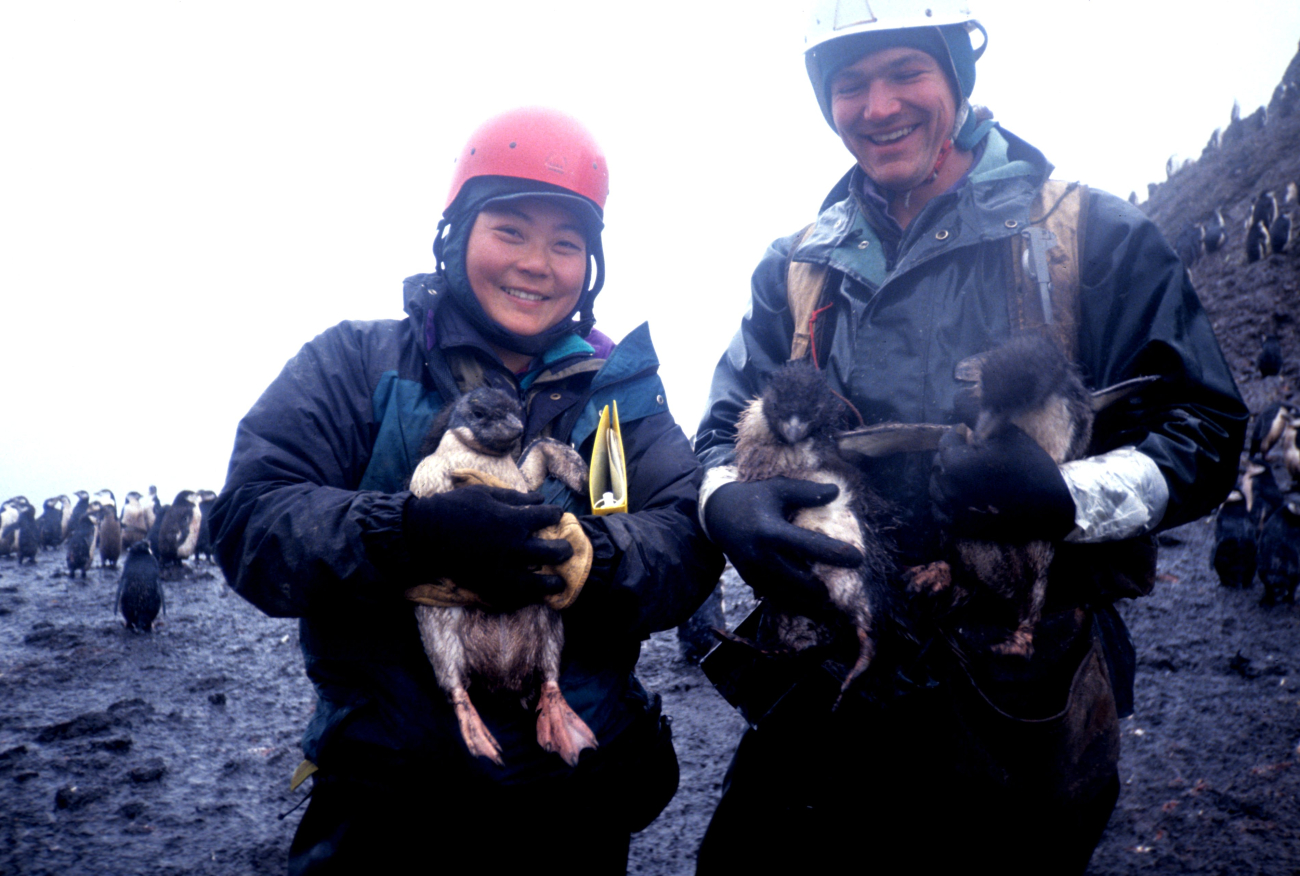 Biologists Lisa Hiruki-Raring and William Meyer with their research subjects