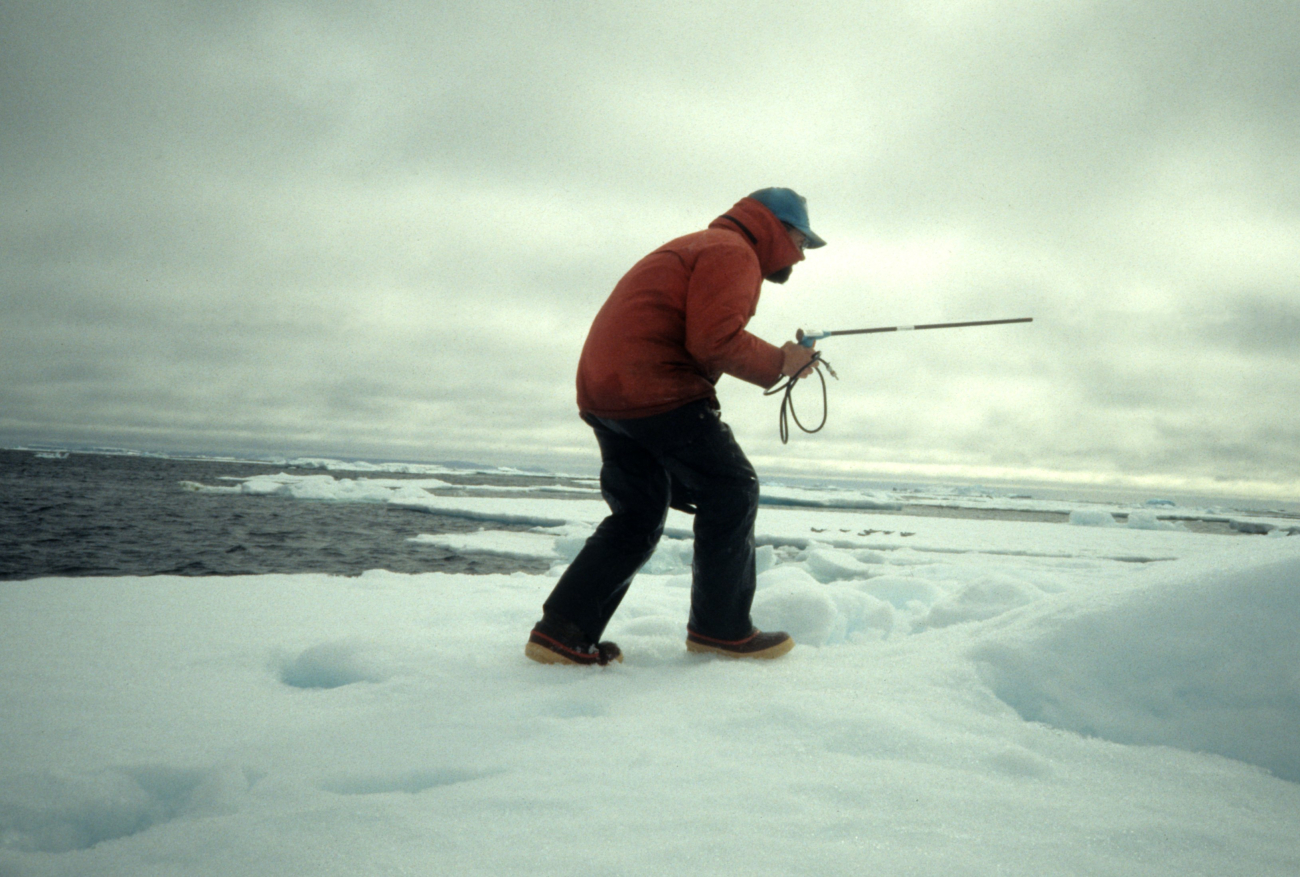 An AMLR scientist with telemetry equipment at Seal Island,South Shetland Islands