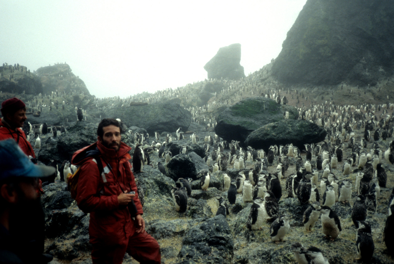 A biologist at a chinstrap penguin colony on Seal Island