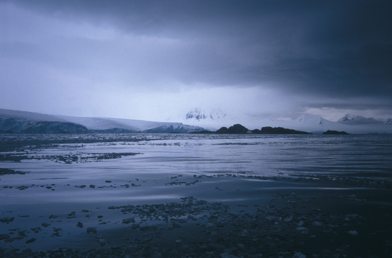 Icy seascape, South Shetland Islands