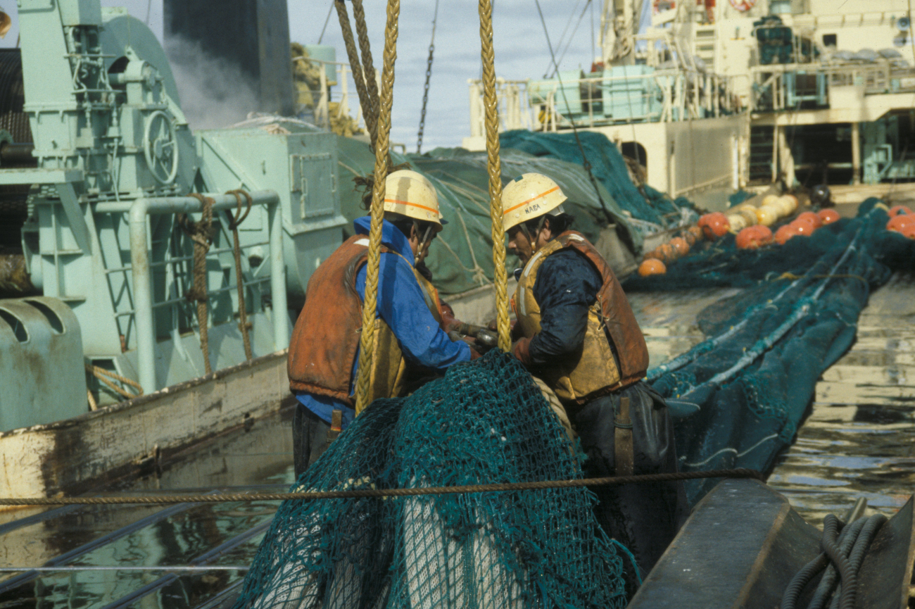 Midwater trawl net on Japanese krill trawler that was inspected by theAMLR Program off Elephant Island
