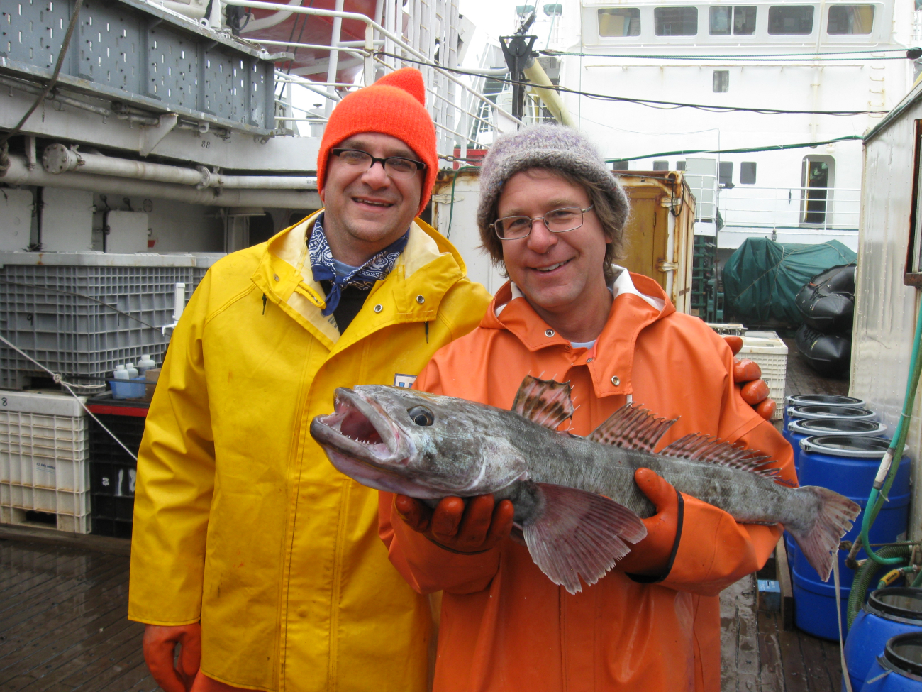 Proud Antarctic ichthyologists with their catch, a toothfish