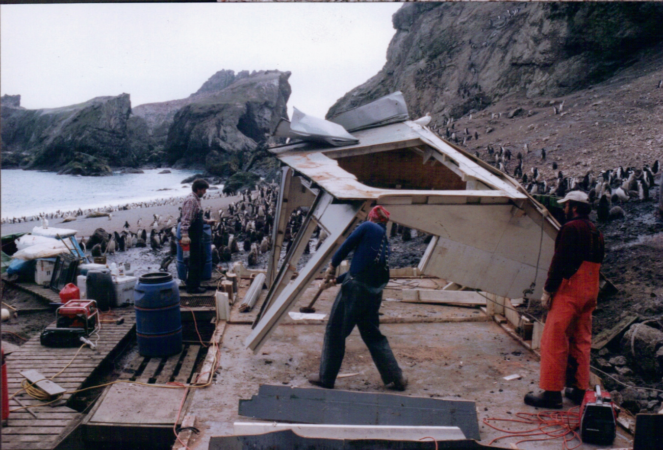 AMLR scientists break down the camp at Seal Island