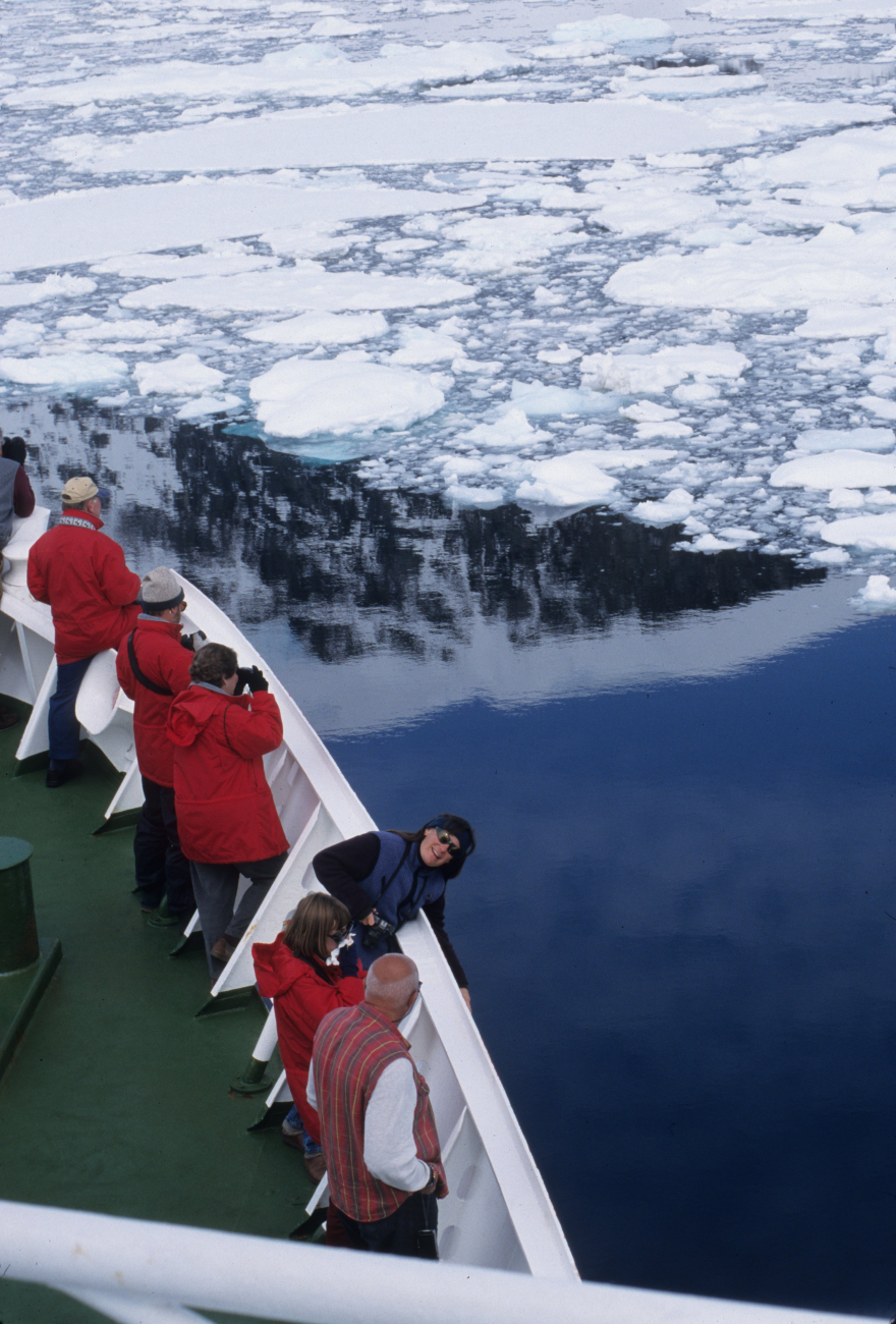 AMLR scientists peer over the bow as their ship slowly pushes through a layerof pancake ice