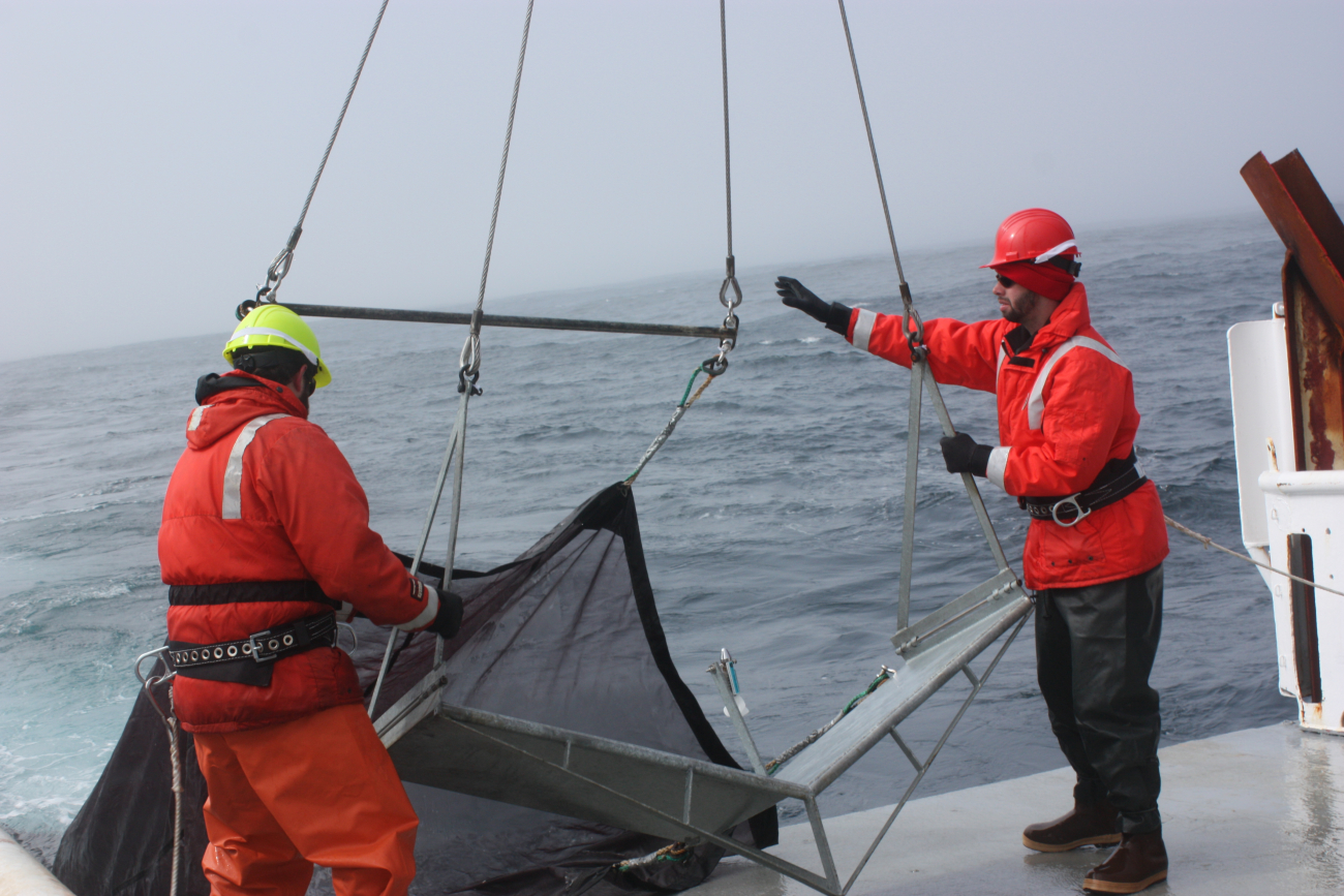 A net is deployed to collect zooplankton samples