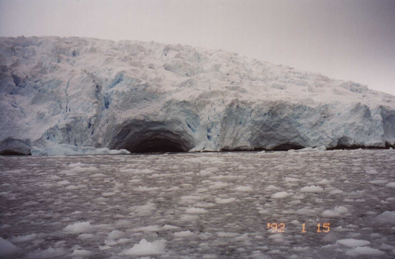 Glacier's edge, South Shetland Islands
