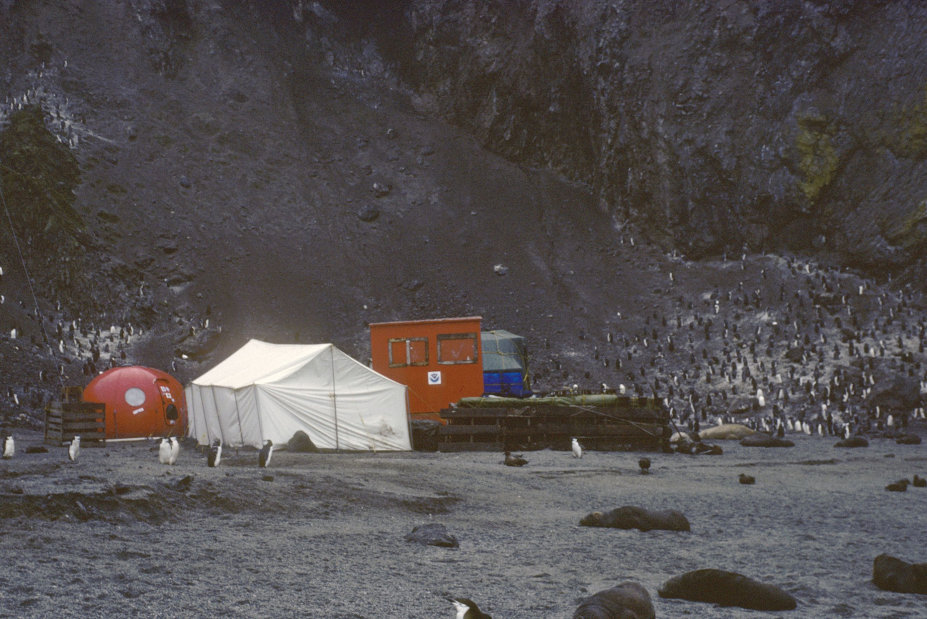 The AMLR field station at Seal Island