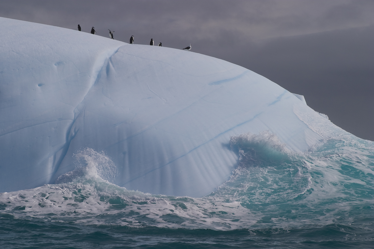 An iceberg in the South Shetland Islands