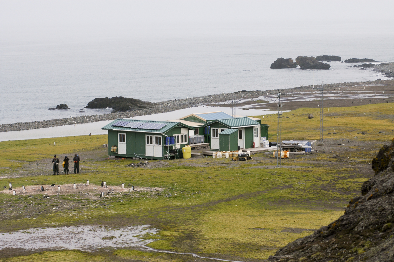 A group of scientists takes photos of gentoo penguins in front of Copacabanafield camp