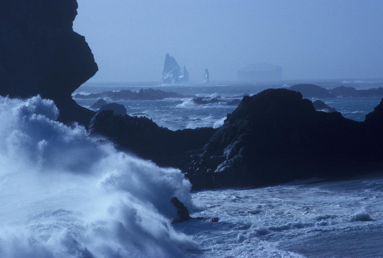 Rocky coastline at Seal Island, South Shetland Islands