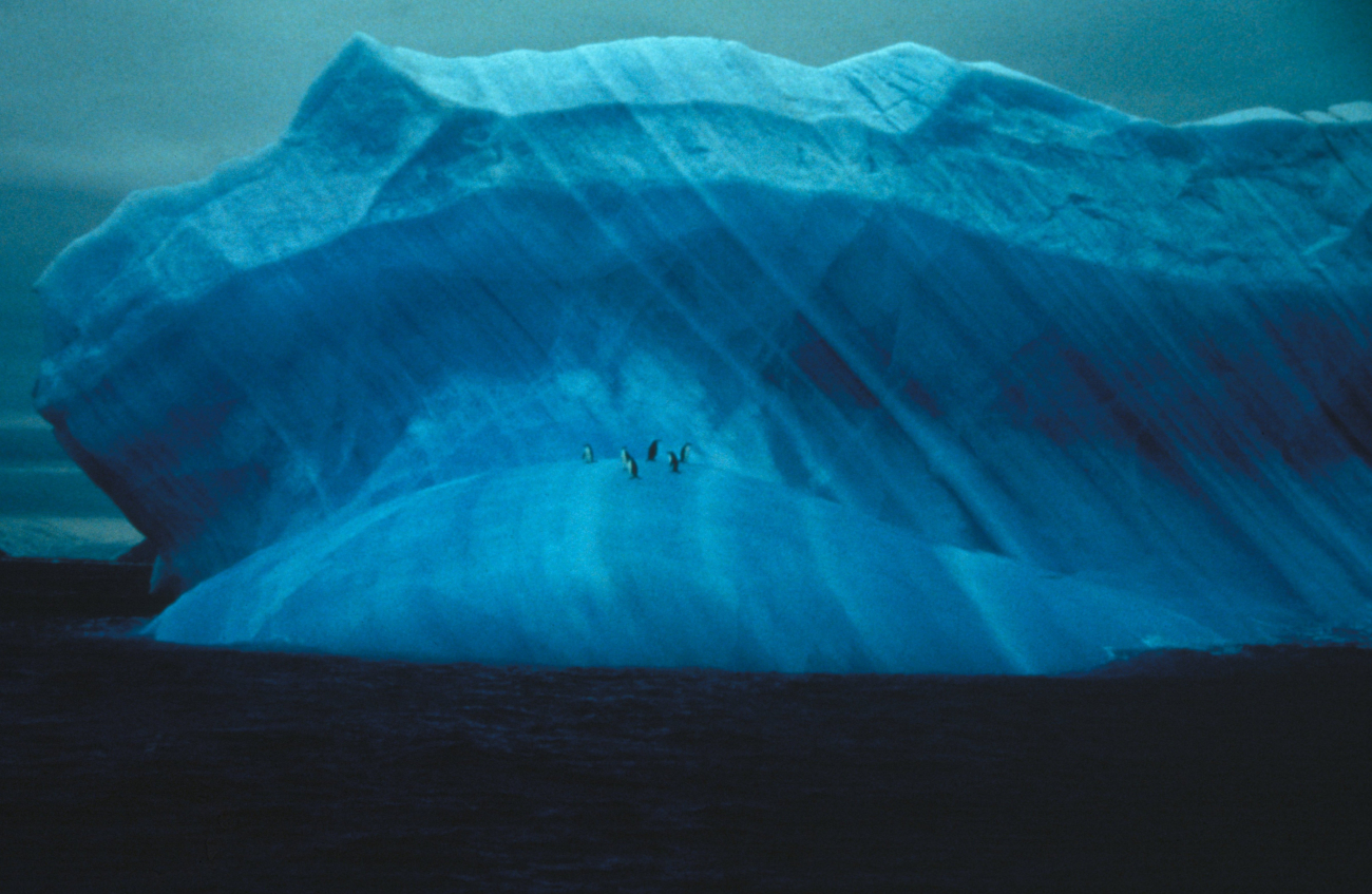 Chinstrap penguins on a striated iceberg, South Shetland Islands, Antarctica
