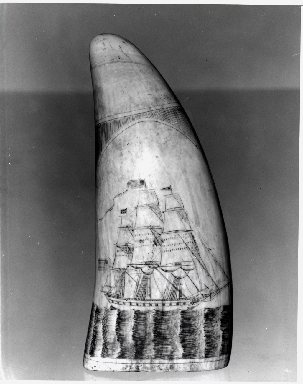 Example of scrimshaw on sperm whale's tooth