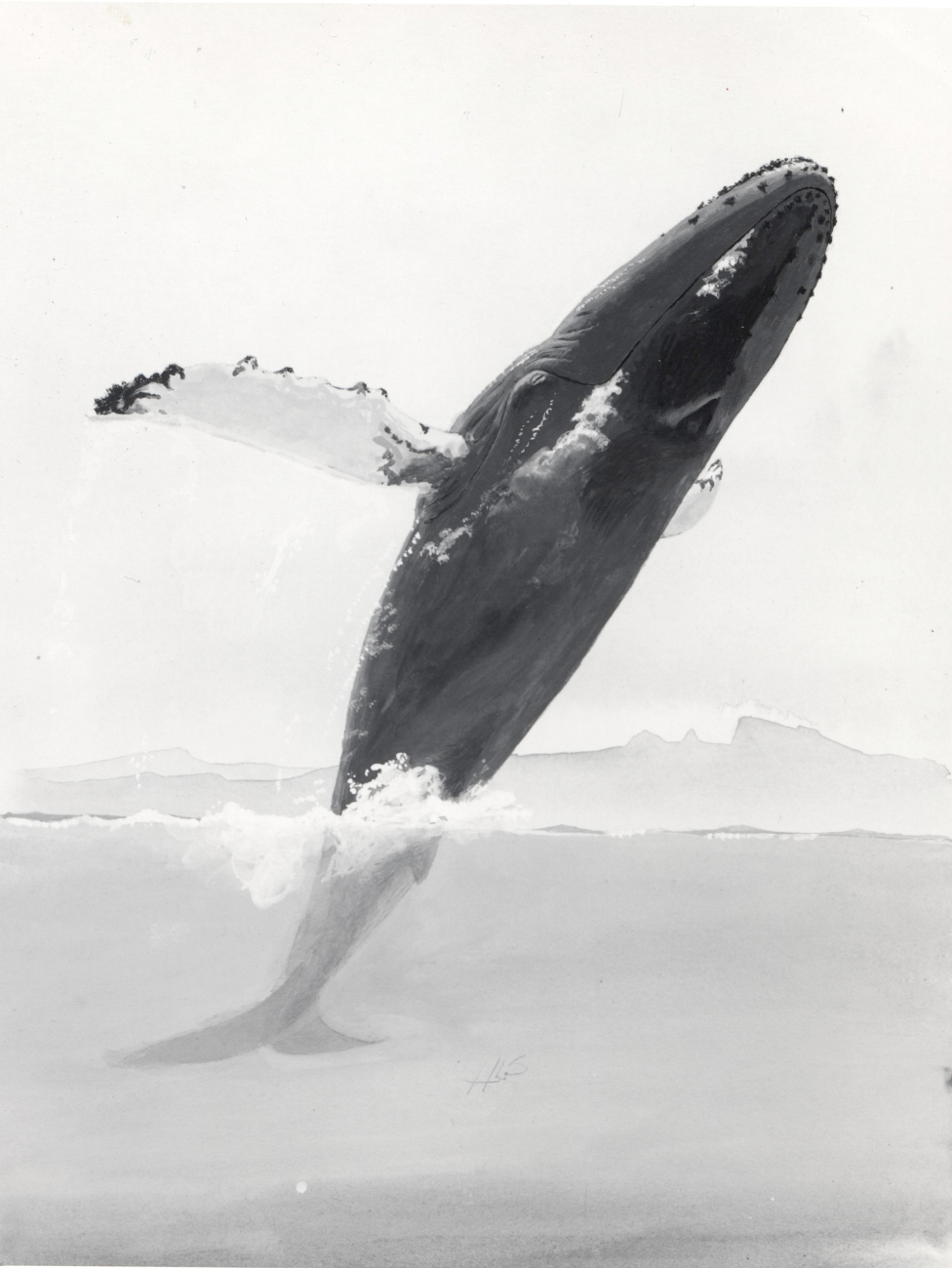Art - a breaching humpback whale