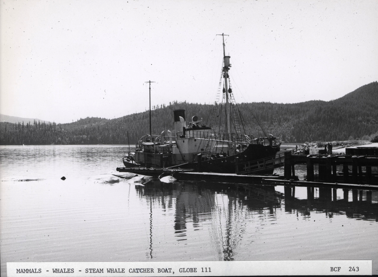 Steam whale catcher GLOBE III at Coal Harbor, British Columbia