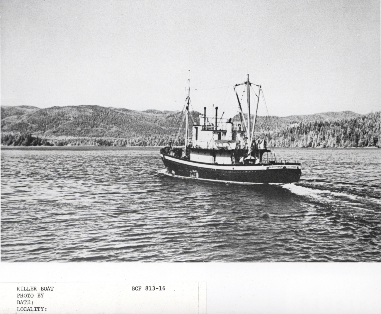 A hunter-killer boat on the way to the whaling grounds