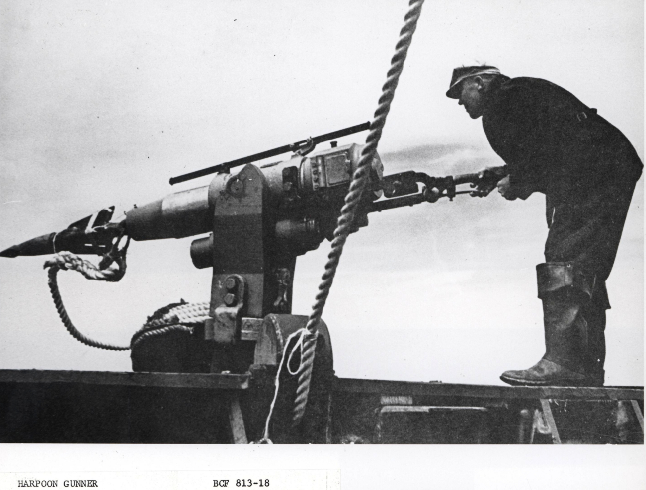 Harpoon gunner in position to fire harpoon into whale